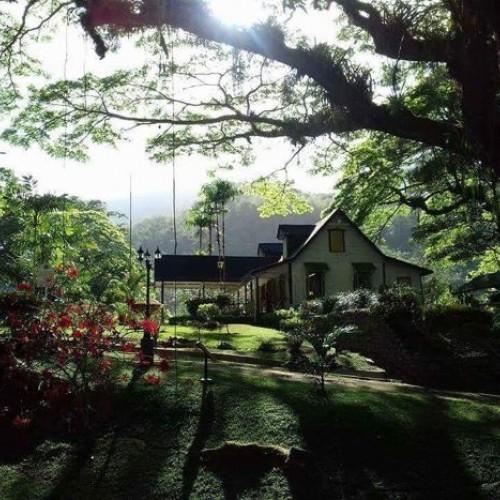 Lopinot Tour in Trinidad: Cocoa Estate, Chocolate Demo